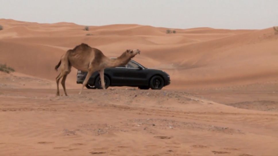 Porsche Macan на пустинен тест (Видео)