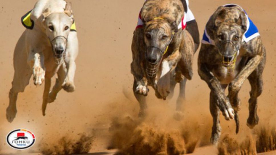 "Еврофутбол": Двама аутсайдери в гонките донесоха страхотни печалби