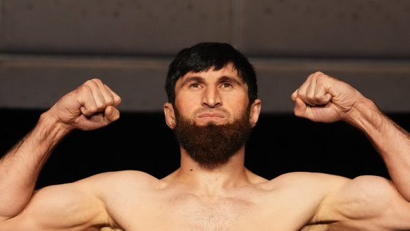 Всички бойци са в категория за UFC Абу Даби