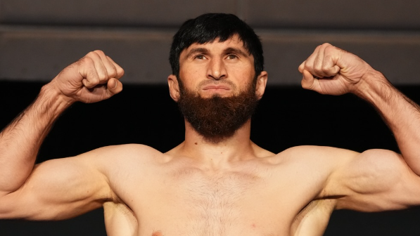 Всички бойци са в категория за UFC Абу Даби