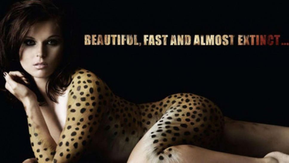 Бърз, красив и почти изчезнал