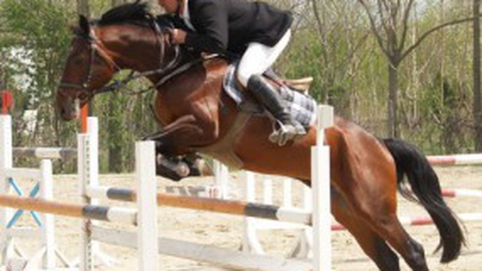 Ездачи от близо десет български градове ще участват в квалификация за Държавно първенство на хиподрума в Шумен