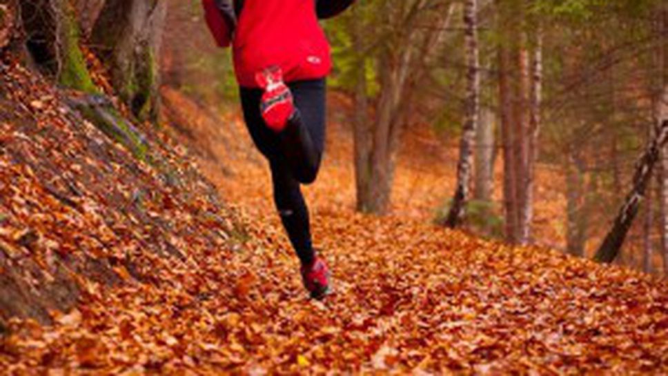 Водещите български атлети ще участват във "Високата обиколка на Витоша"