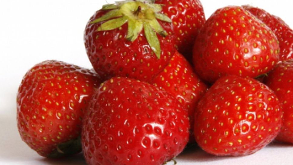 Хранят волейболистките на България с витаминозни ягоди
