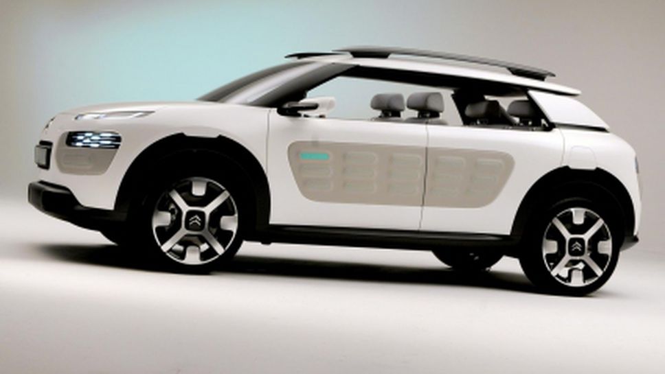 Кактус с марка Citroen