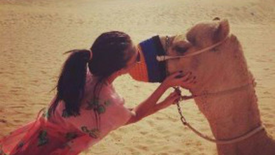 Половинката на Валери се целува с камила
