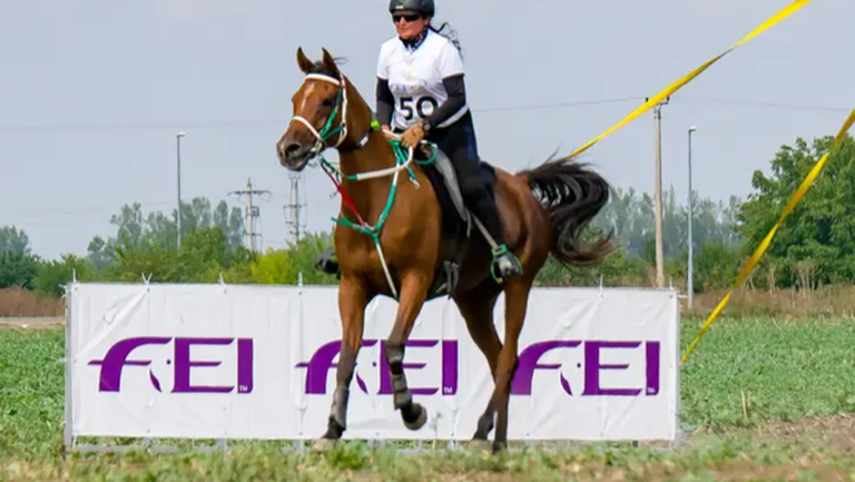 На провелото се международно състезание в дисциплината издръжливост в конния