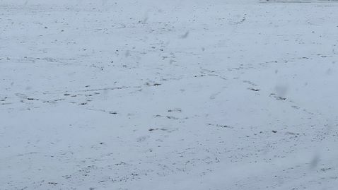 Отложиха ЦСКА 1948 II - Спартак (Варна) заради снежен ад (снимки)