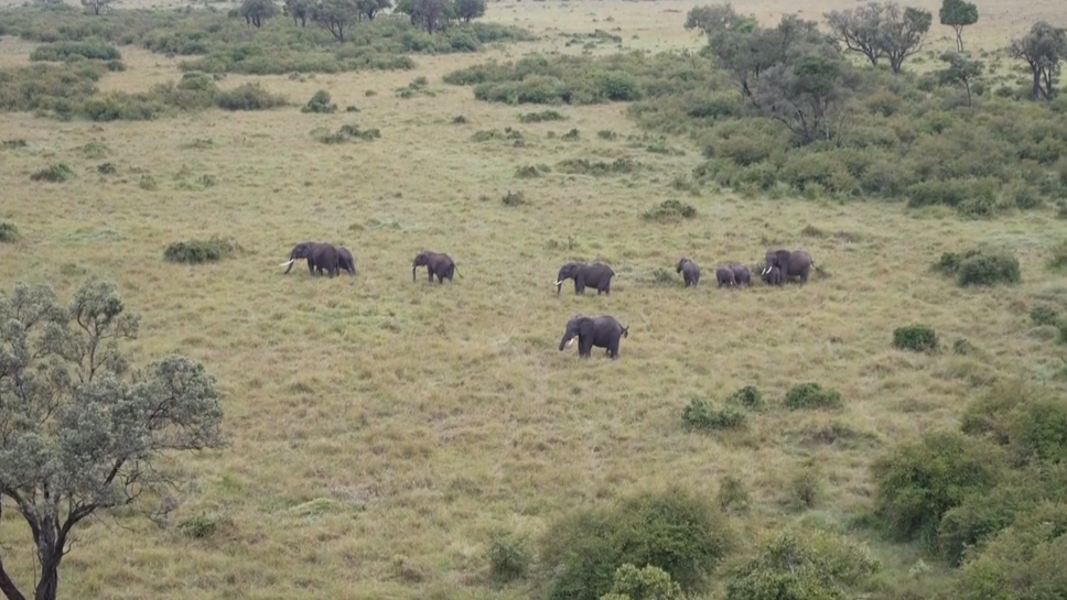 Пилотите от WRC се запознаха с масаи и видяха диви животни от близо