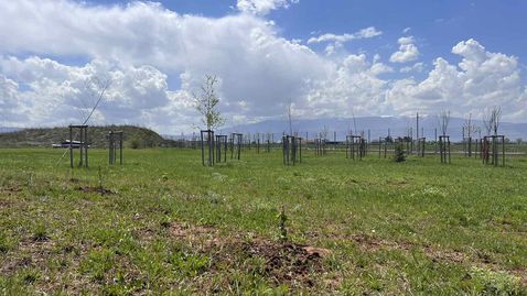 Мото-Пфое засади 12 дръвчета за Деня на Земята