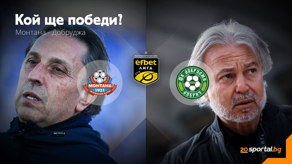 11-те на Монтана и Добруджа