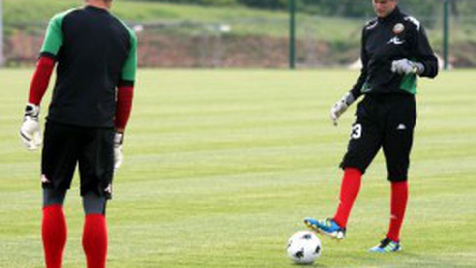 БФС купи земя в Правец - строи малък стадион