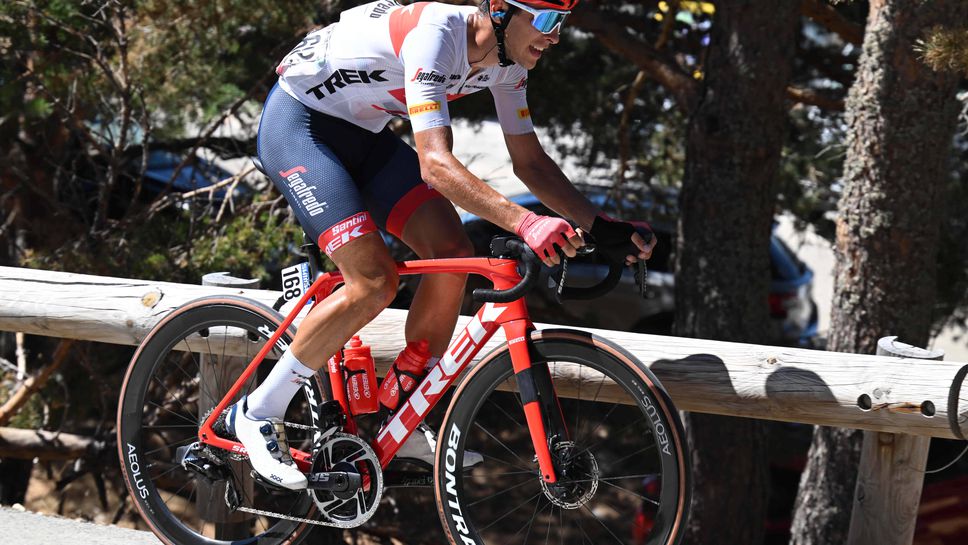 Професионален колоездач глобен за убийството на котката на политик