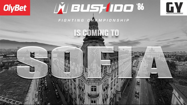 Една от големите международни ММА организации MMA Bushido