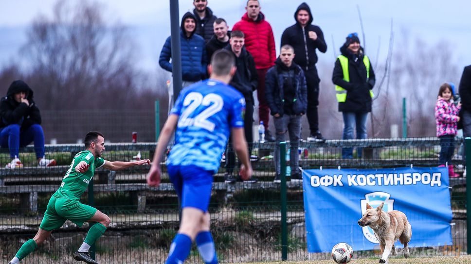 Без голове в Костинброд