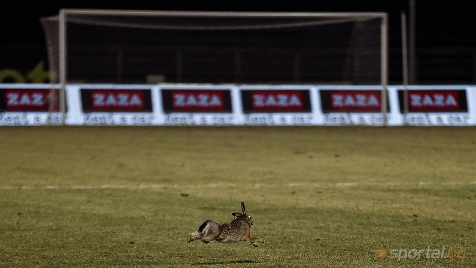 Най-добрите снимки за 2025 на Sportal.bg