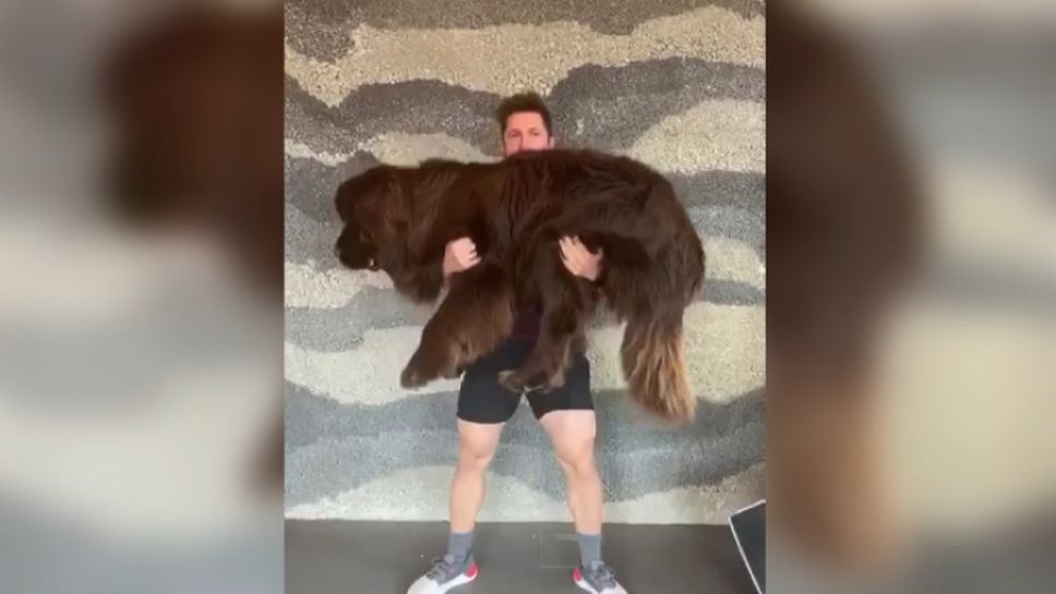 Хиршер тренира с огромното си куче