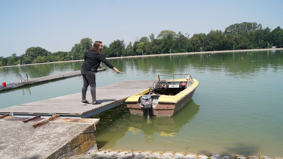 3000 риби се грижат за чистотата на Гребния канал в Пловдив, всяка есен отиват за благотворителност