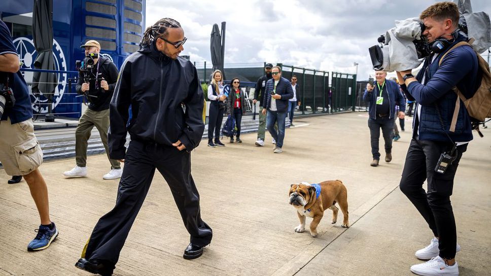 Люис Хамилтън загуби любимото си куче