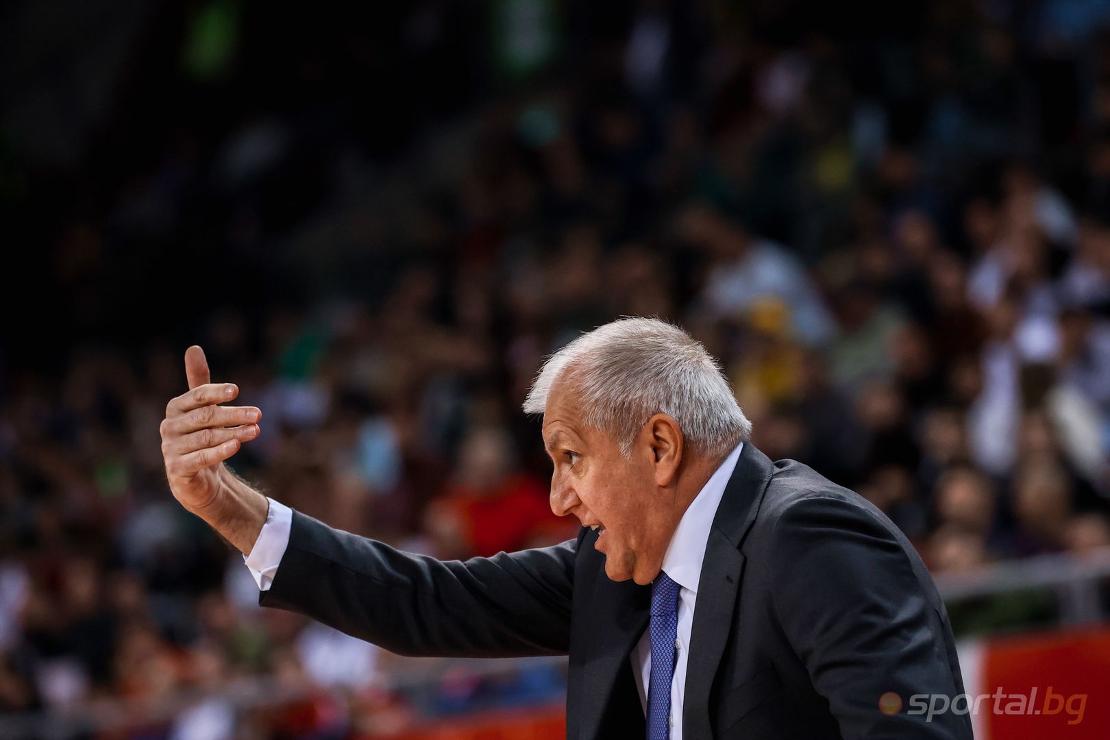 Апоел Тел Авив 97:84 Партизан I