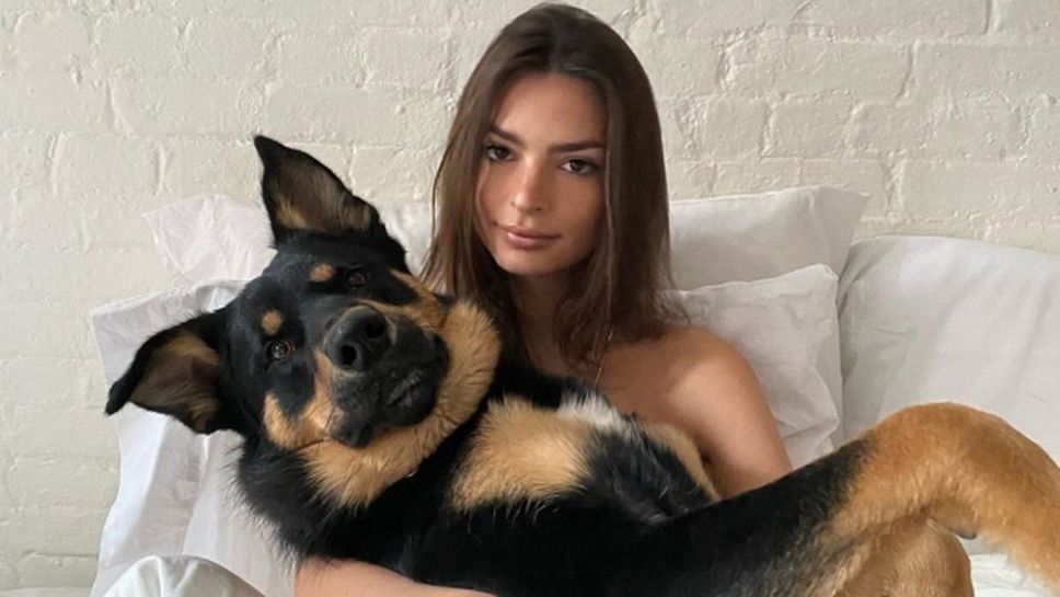 Емили Ратайковски изпадна в паника заради кучето си (снимки)
