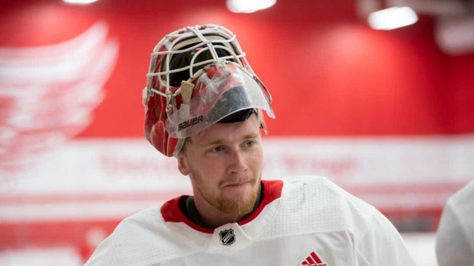 Детройт привлече втори шведски хокеист