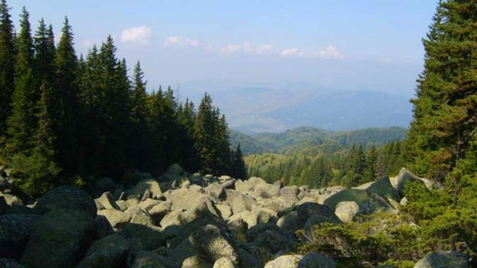 Отпада забраната за посещение на национални паркове и планини