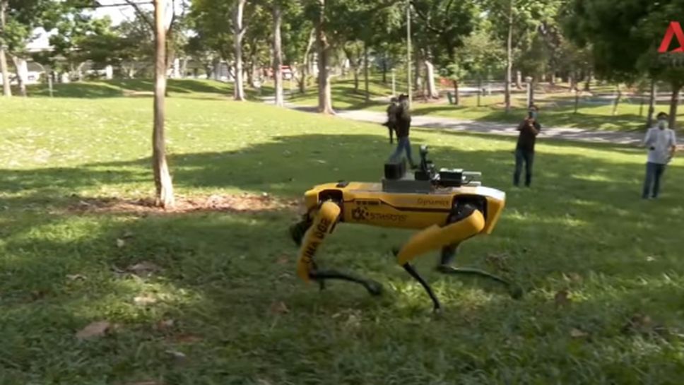 Куче-робот се грижи за спазването на социална дистанция в Сингапур (видео)