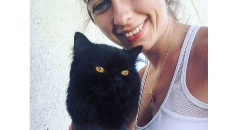 Феликс и Блинг - котката и заекът на Мирела Шахпазова