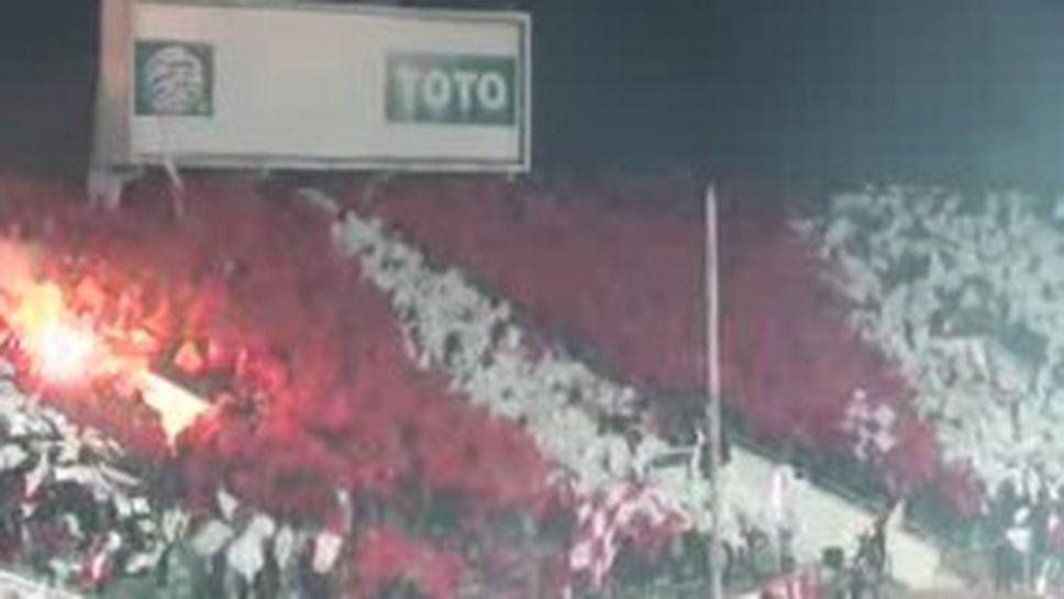 Хореографията в сектор "Г" (видео)