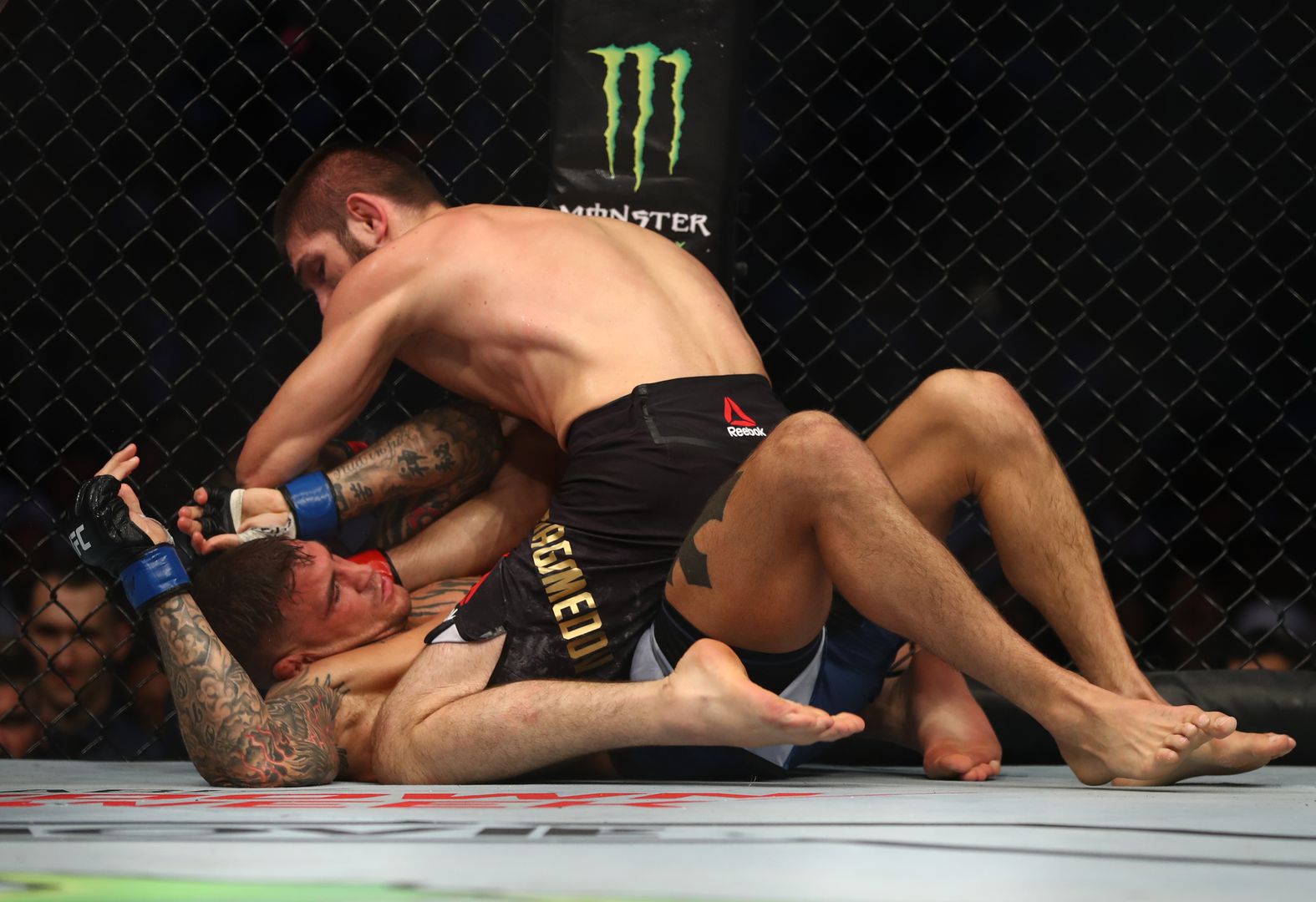 Великият Хабиб Нурмагомедов събмитна Дъстин Порие и пак доказа, че е кралят!