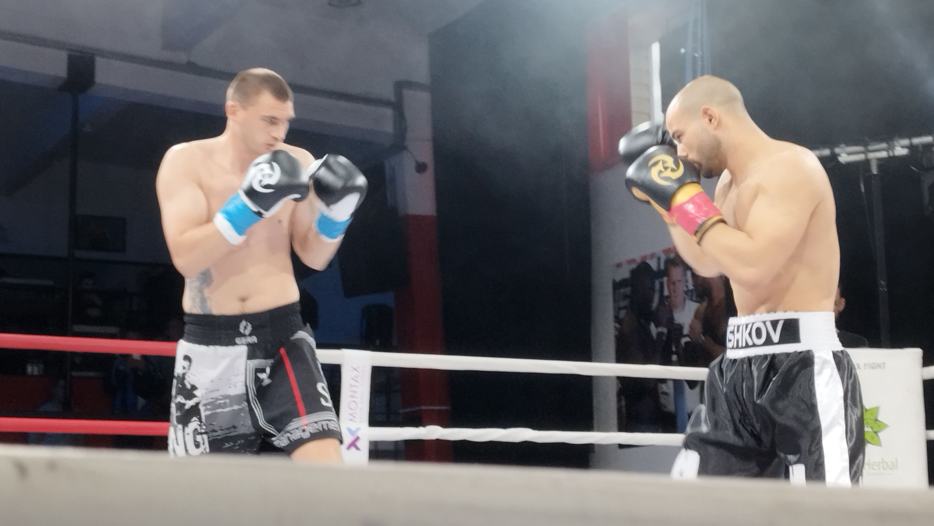 Николай Дишков надигра молдовец на Max Fight 61