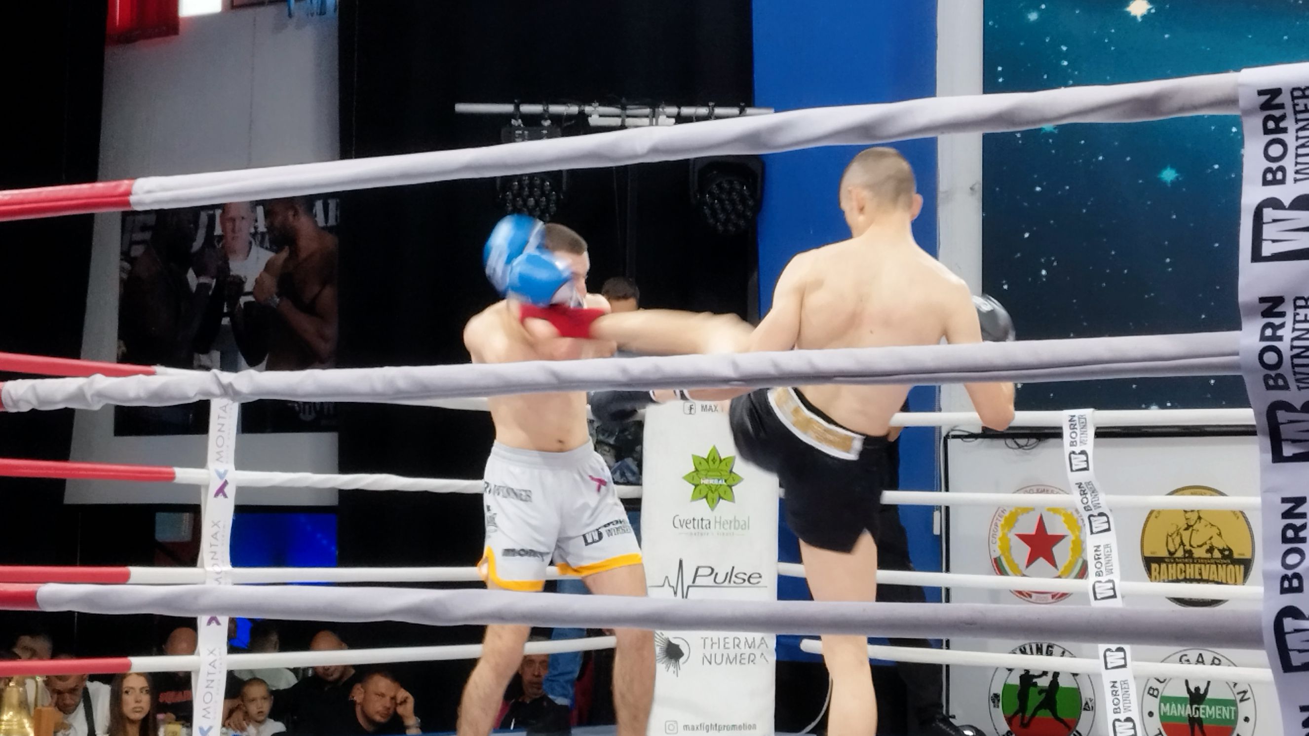 Професора отново показа техничен кикбокс на ринга на Max Fight