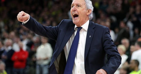 "Miško sa Megom je pomogao svom biznisu, a Srbiji?" Proradile emocije Svetislavu Pešiću: Zvezda i Partizan imaju ko zna koliko stranaca...