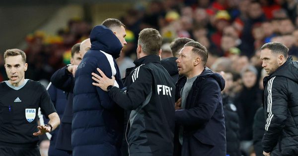 Selektor Velsa ironično prokomentarisao uspeh Bosne i Hercegovine: Kakvo smo mi sra..e, kad smo od njih izgubili!