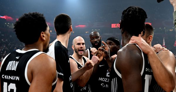 W, W, W, W, W, T! Partizan posle derbija javno pecnuo Zvezdu kao nikada /FOTO/