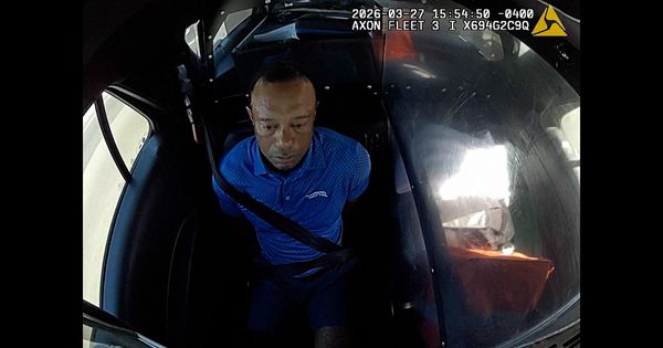 Pogledajte kako je uhapšen Tajger Vuds nakon udesa