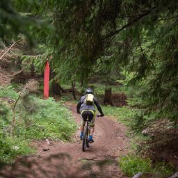 Treba doživeti "Tri strane Kopaonika": Planinski biciklizam za ekstremne sportiste i običnog čoveka, sa Kopa se vraćaš ogreban i drugačiji