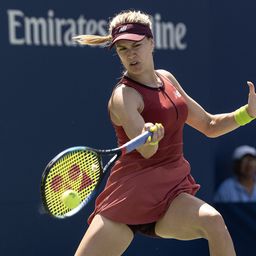 "Igraš profesionalno tenis? Kao Novak Đoković?" Kanađanka ispričala dogodovštinu sa aerodroma u Nemačkoj i izazvala smeh /FOTO/