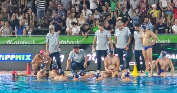 Novi poraz Vujasovih Delfina: Mađarska napunila mrežu Srbije