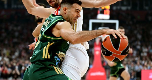 Slukas protiv Zvezde može da ispiše istoriju!