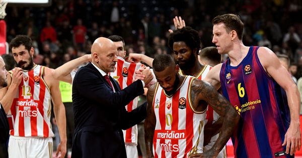 Mišljenje navijača je uvek bitno: Ko bi trebalo da ostane u Zvezdi? /ANKETA/