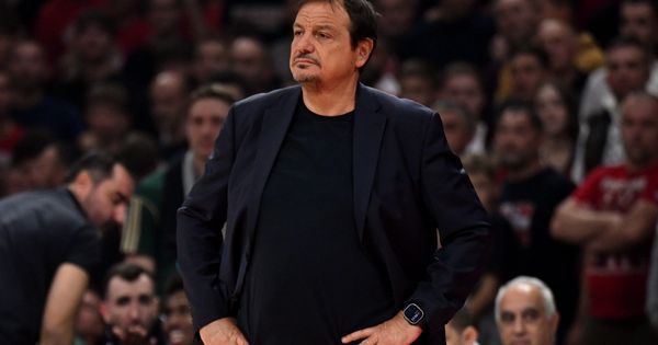 Ataman najavljivao utakmicu sa Armanijem, pa pomenuo Obradovića: On i Željko su jedni od najboljih!