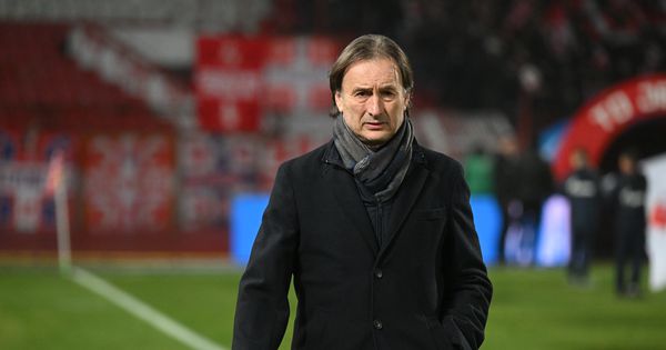 "Posle Zvezde smo imali loše iskustvo, valjda smo naučili" Tanjga najavio novi pohod Vojvodine