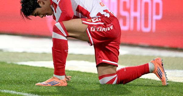 Zvezdin 50. meč u sezoni!