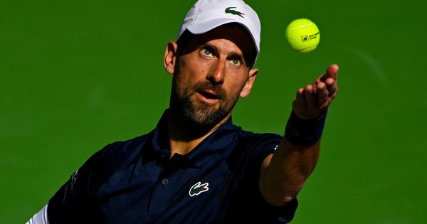 Novak Đoković stiže u Zenicu: Zmajevi će u odlučujućoj utakmici protiv Italijana imati podršku najboljeg ikada!