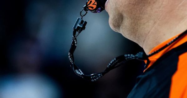 Sudija koji je doneo sreću Zvezdi sudi Partizanu protiv Žalgirisa