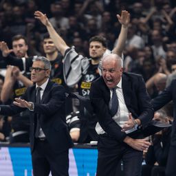 Partizan lavljeg srca