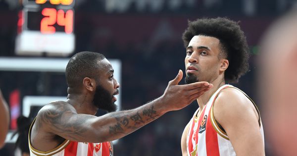 Ko odlazi iz Zvezde? Ovih pet igrača nemaju ugovore za sledeću sezonu /ANKETA/