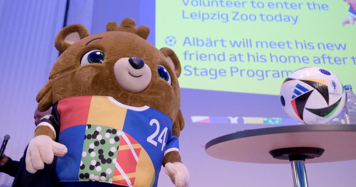 Sve maskote kroz istoriju svih evropskih prvenstava u fudbalu (foto ...